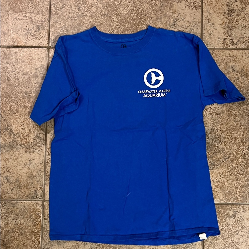 Blue T-Shirt
